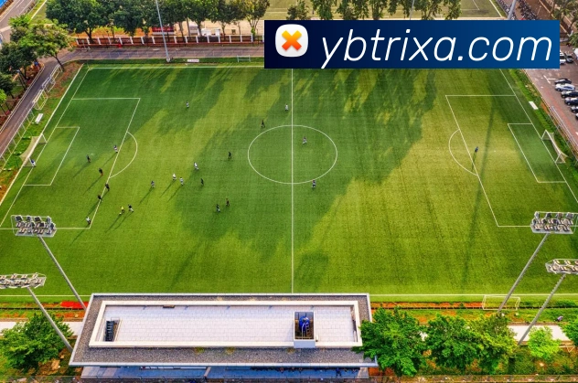 多媒体互动体验